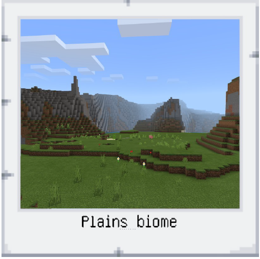 plains biome